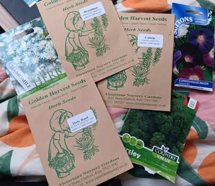 Photo of free Selection of seeds (Combe Down BA2) #1