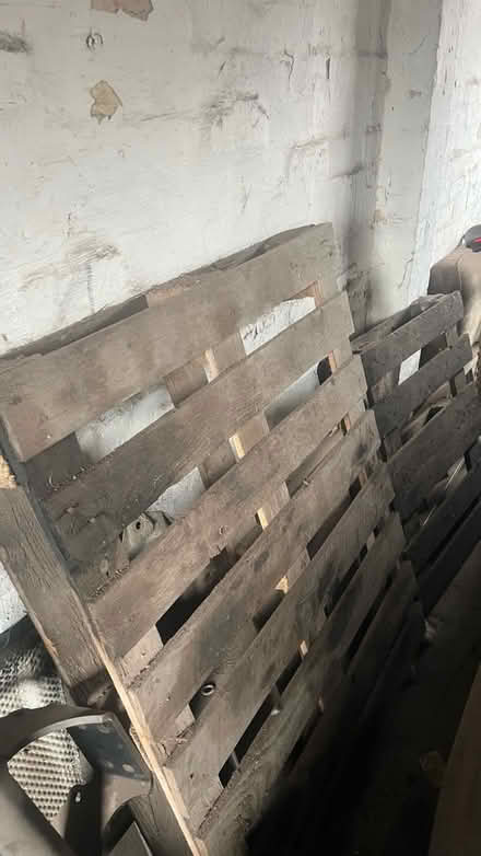 Photo of free Pallets (Rednal SY11) #2