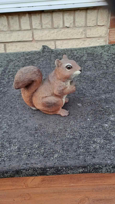 Photo of free Squirrel ornament. Plastic or resin. (Sherrard's Green WR14) #1