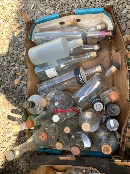 Photo of free Nice bottles for fruit cordials, sloe gin, etc. (Barnard's Green WR14) #1