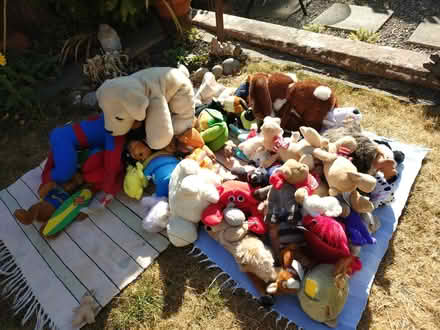Photo of free Big lot of soft toys/ teddys (Abington NN1) #1