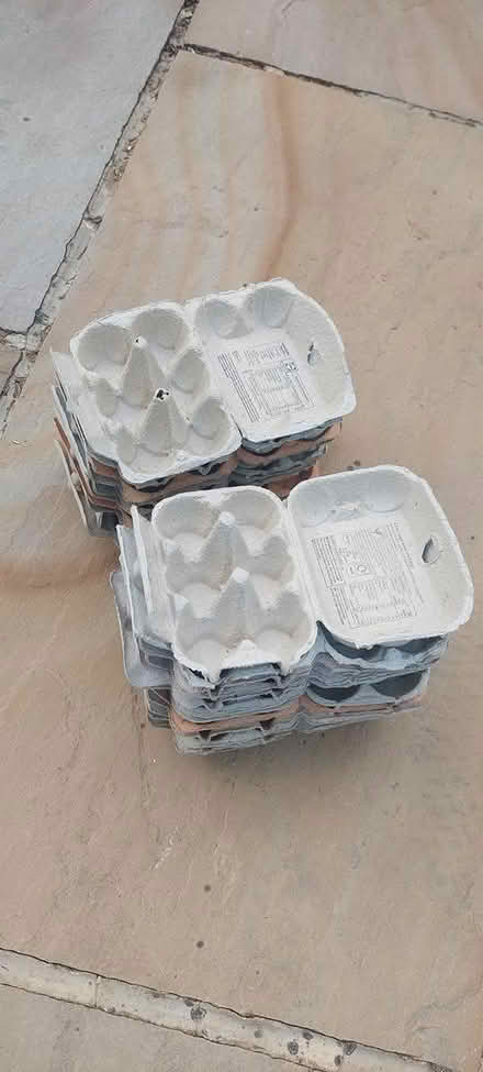 Photo of free 24 egg boxes (Horsham) #1