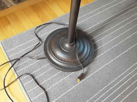 Photo of free Tall floor lamp (Carlingwood) #2