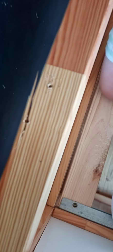 Photo of free Ikea Kura Bed (NG3. Thorneywood) #4