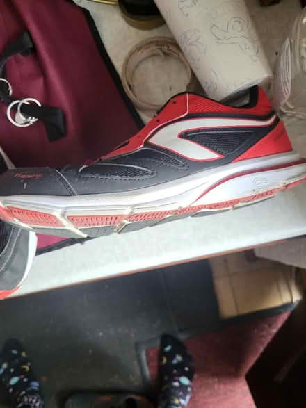 Photo of free Trainers size 9.5 (Norton Lees S8) #2