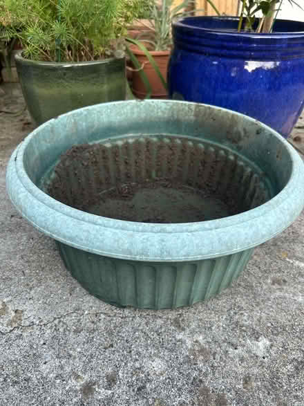 Photo of free Plant Tub (Hollingdean BN1) #1