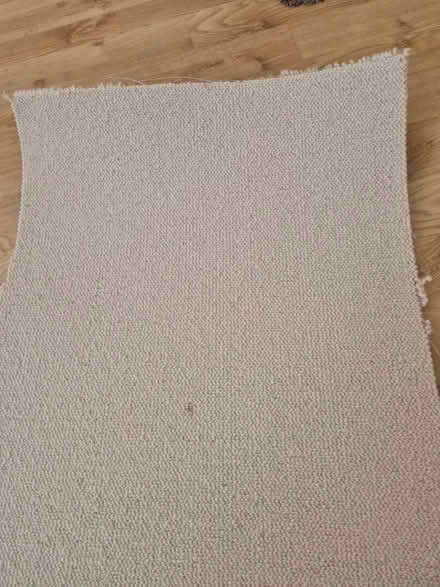 Photo of free Roll of carpet offcut (Weybridge KT13) #3