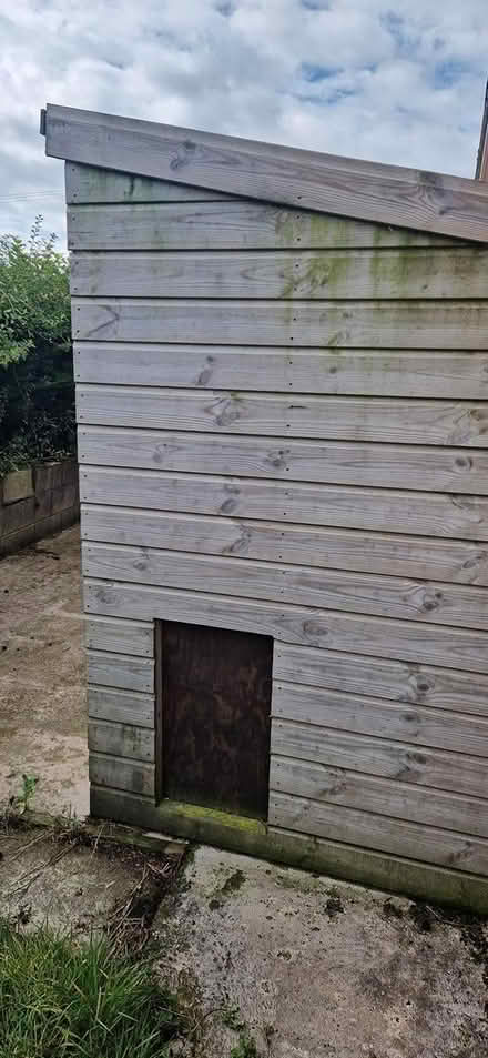 Photo of free Wooden dog kennel (Kirkcambeck CA8) #2