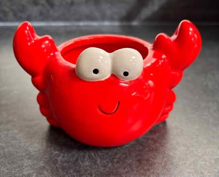 Photo of free Small novelty plant pots (Wigston Magna LE18) #4