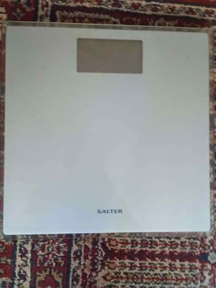 Photo of free Salter scales (The Nurserylands TW12) #1