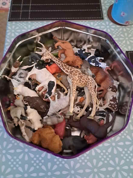 Photo of free Tin of toy farm and zoo animals (Melksham forest area) #1