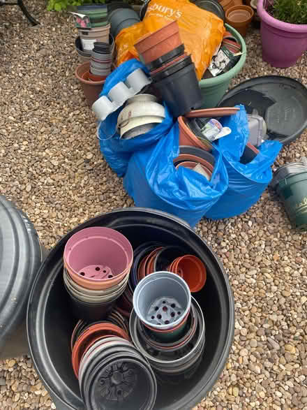 Photo of free Plastic Plant Pots (Norton S8) #1