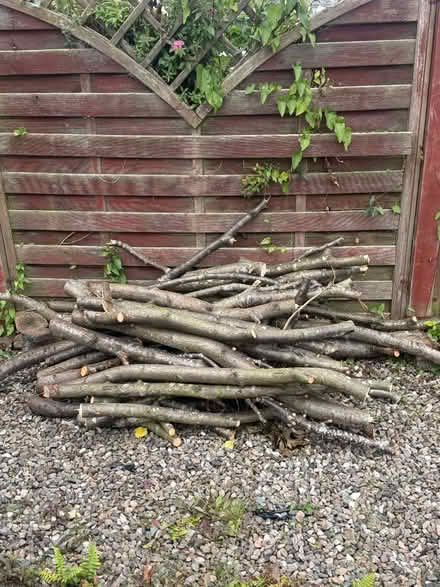 Photo of free Wood branches (Rosyth KY11) #2