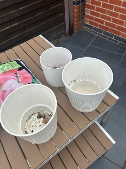 Photo of free 3 x white ceramic pots (Holbrook, Belper, DE56) #2