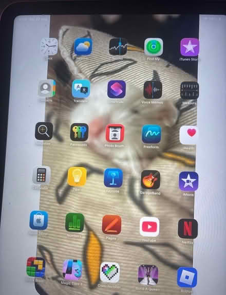 Photo of free ipad no charger you need an ipad one (Tuebrook L13) #2