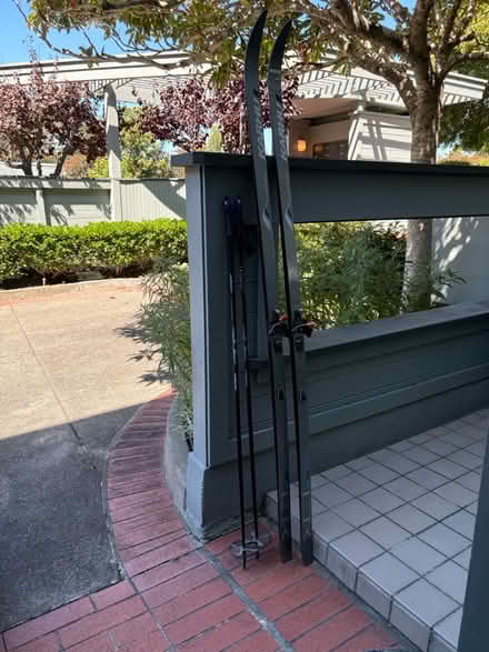 Photo of free X-Country skis and poles (Above Remington Dog Park) #3