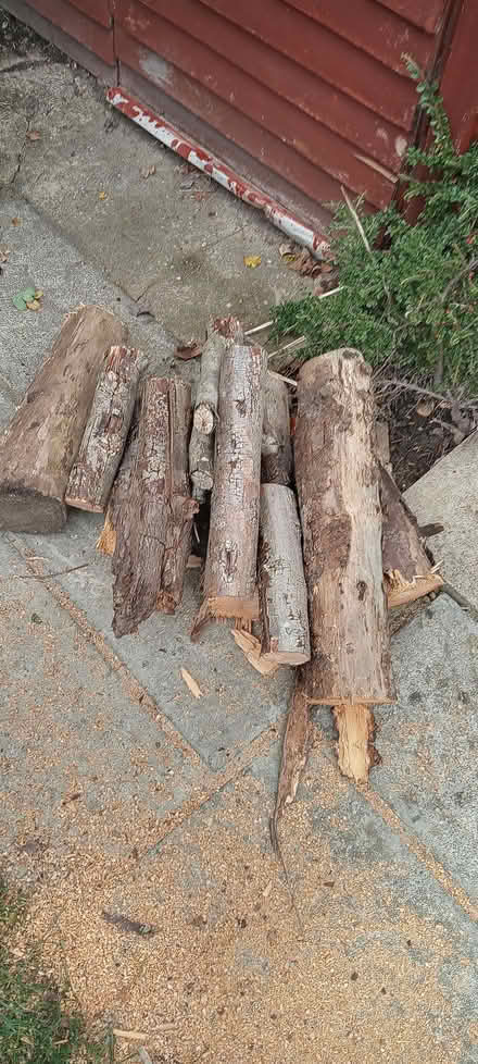 Photo of free logs (Sprowston NR7) #1