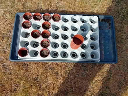 Photo of free Seed pots and tray (Cubbington CV32) #1