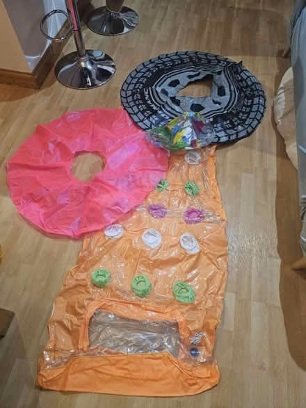 Photo of free Kids Inflatable Rings, Ball & Lilo (Ealing Broadway, W5) #1