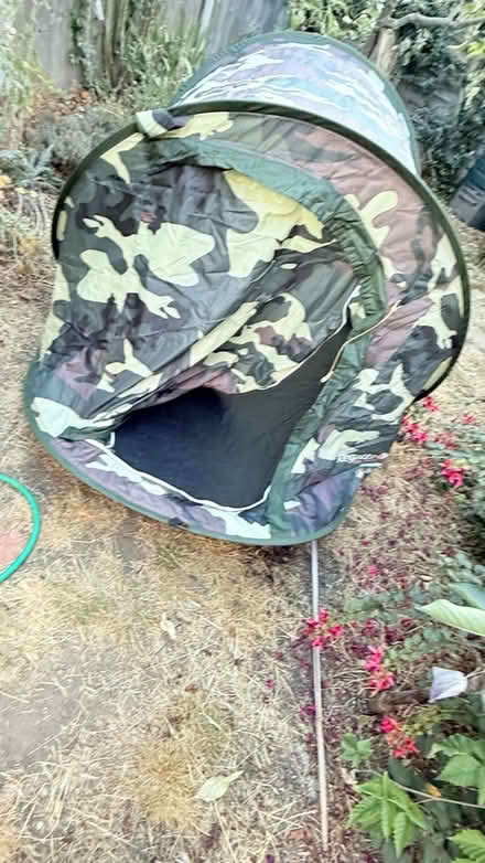 Photo of free Camo pop up tent (E9) #1