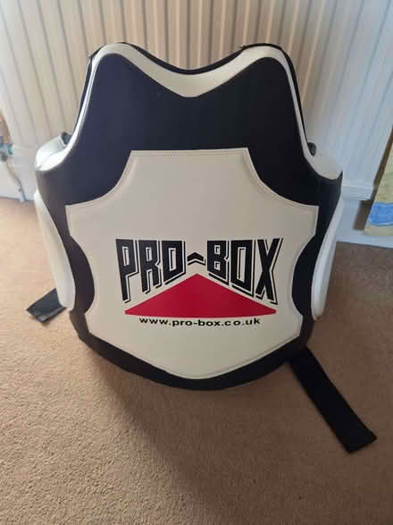 Photo of free Pro-Box body protector (coach's chest guard) (Tunbridge Wells N. TN4) #1