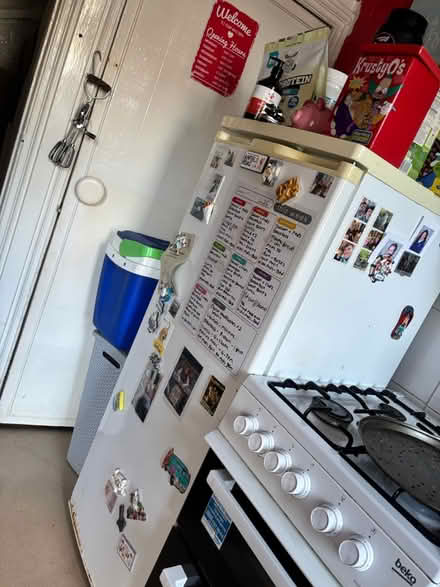 Photo of free Tall Larder Fridge (Ovenden (HX3)) #1