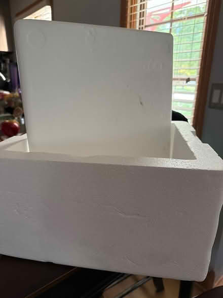 Photo of free Foam cooler (Downers Grove) #1