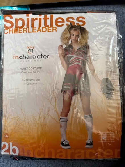Photo of free Halloween Cheerleader outfit (Queslett B44) #1
