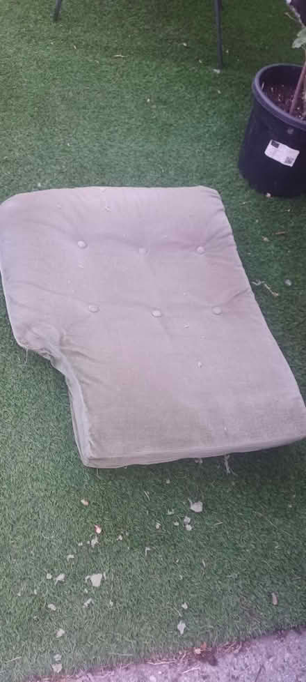 Photo of free Upholstery foam (Billericay CM11) #2