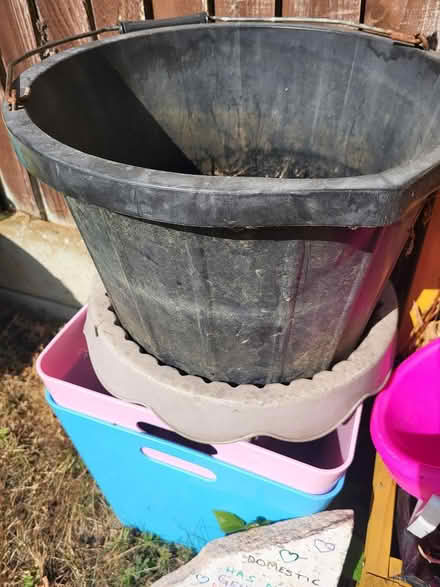 Photo of free various items maidstone shepway (Home ME15) #3