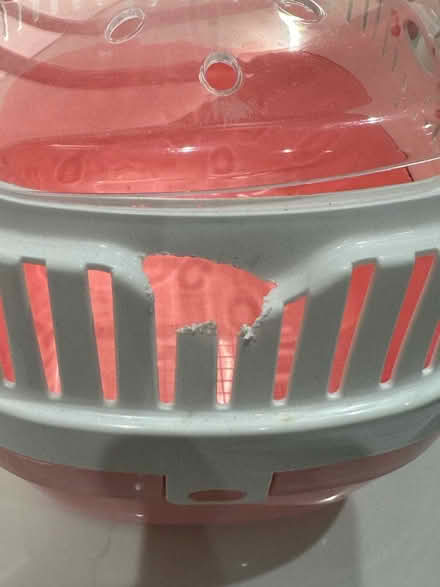 Photo of free Pet carrier plastic (Sydenham) #1