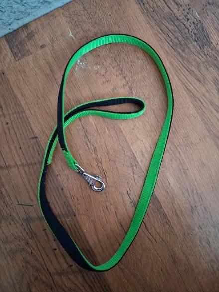 Photo of free Dog lead (Coxheath ME17) #1