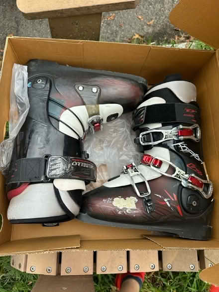 Photo of free Size 25.5 D’abello Krypton ski boot (belmont/watertown line) #1