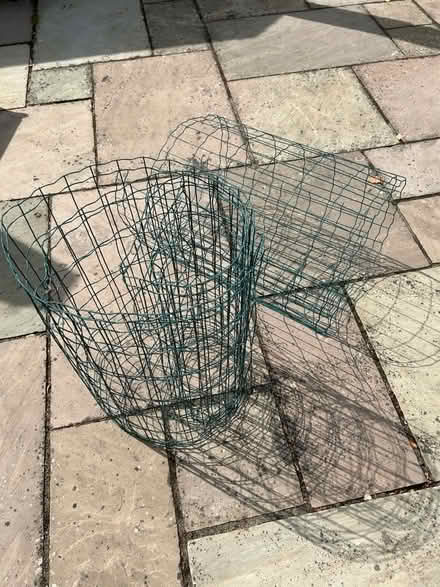 Photo of free garden fencing (Kingsnorth TN23) #2