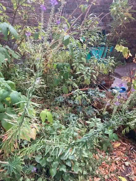 Photo of free Large plastic pots/tubs filled with soil and leaf mould L17 (Aigburth L17) #1