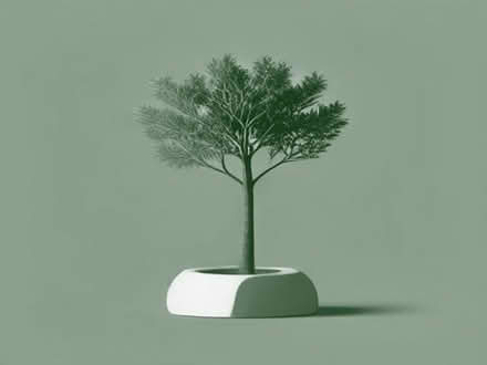 Photo of free Small tree (Elland HX5) #1