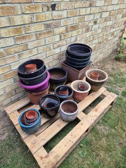 Photo of free Plant pots (Westgate CT8) #1