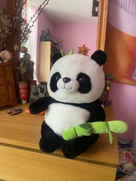 Photo of free Big panda plushie (Camden NW1) #1