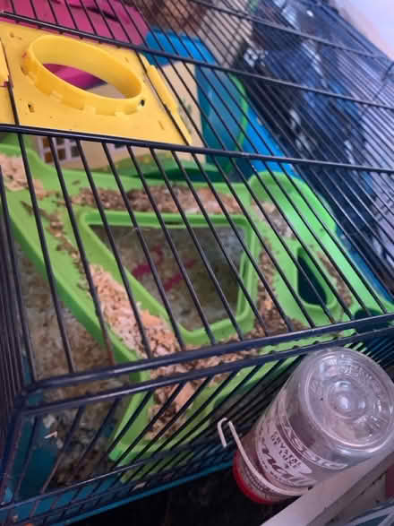 Photo of free Large hamster cage and accessories (Lifford, kings Norton B30) #2