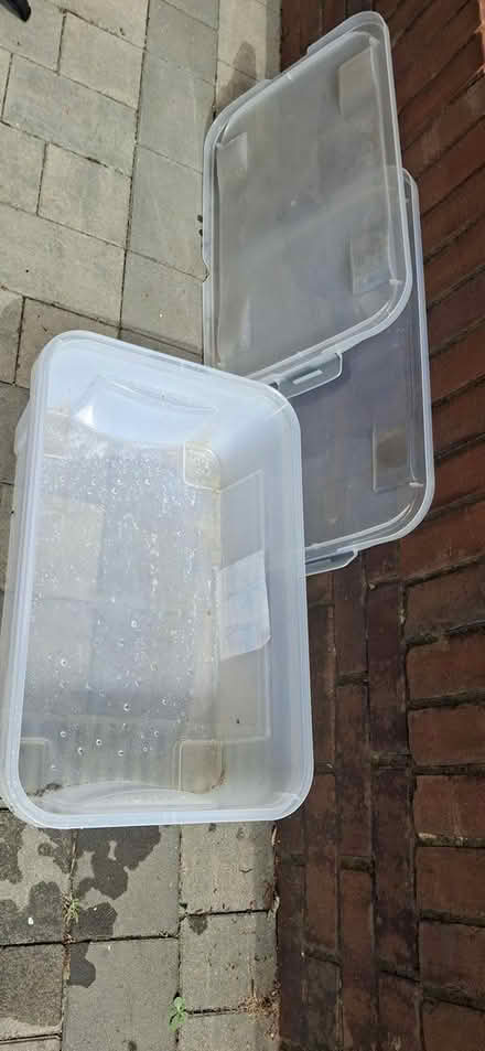 Photo of free 2 plastic storage boxes (Morden SM4) #3