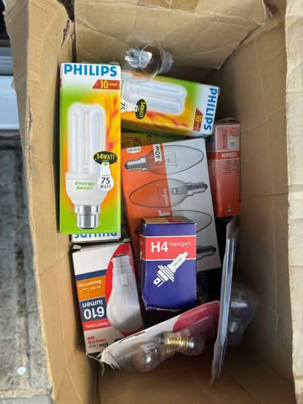 Photo of free Bulbs (Lowestof) #1