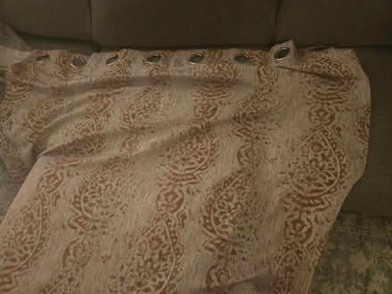 Photo of free curtain (Brooklyn, Ditmas Park) #1