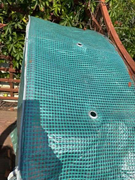 Photo of free Grow bag greenhouse (Rosemount AB15) #4