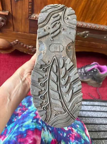 Photo of free Walking boots (Forest Hill SE26) #4