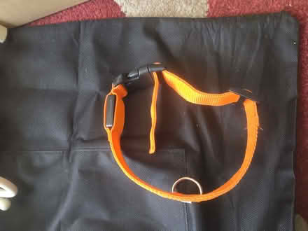 Photo of free Collar (Upper Luton ME5) #2