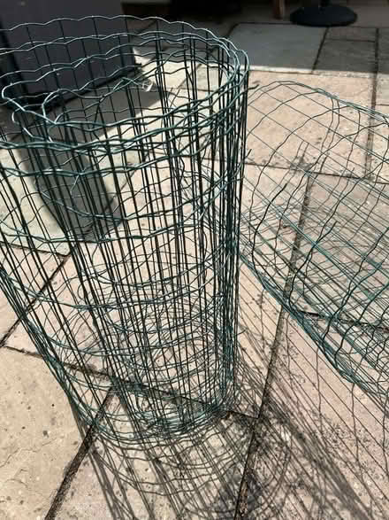 Photo of free garden fencing (Kingsnorth TN23) #3