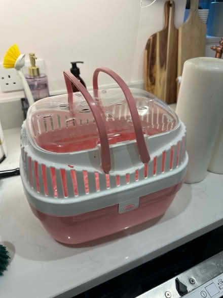 Photo of free Pet carrier plastic (Sydenham) #2