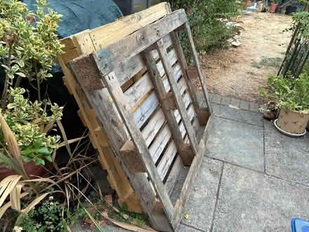 Photo of free Pallets (Wildridings RG12) #1