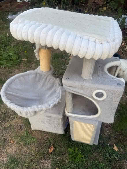 Photo of free Large grey 3ft cat scratching post (Lewes BN7) #1