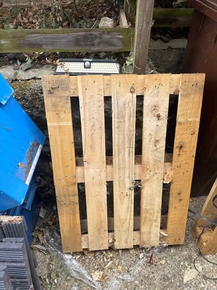 Photo of free 2 x Wooden Pallets (Hertford SG13) #2